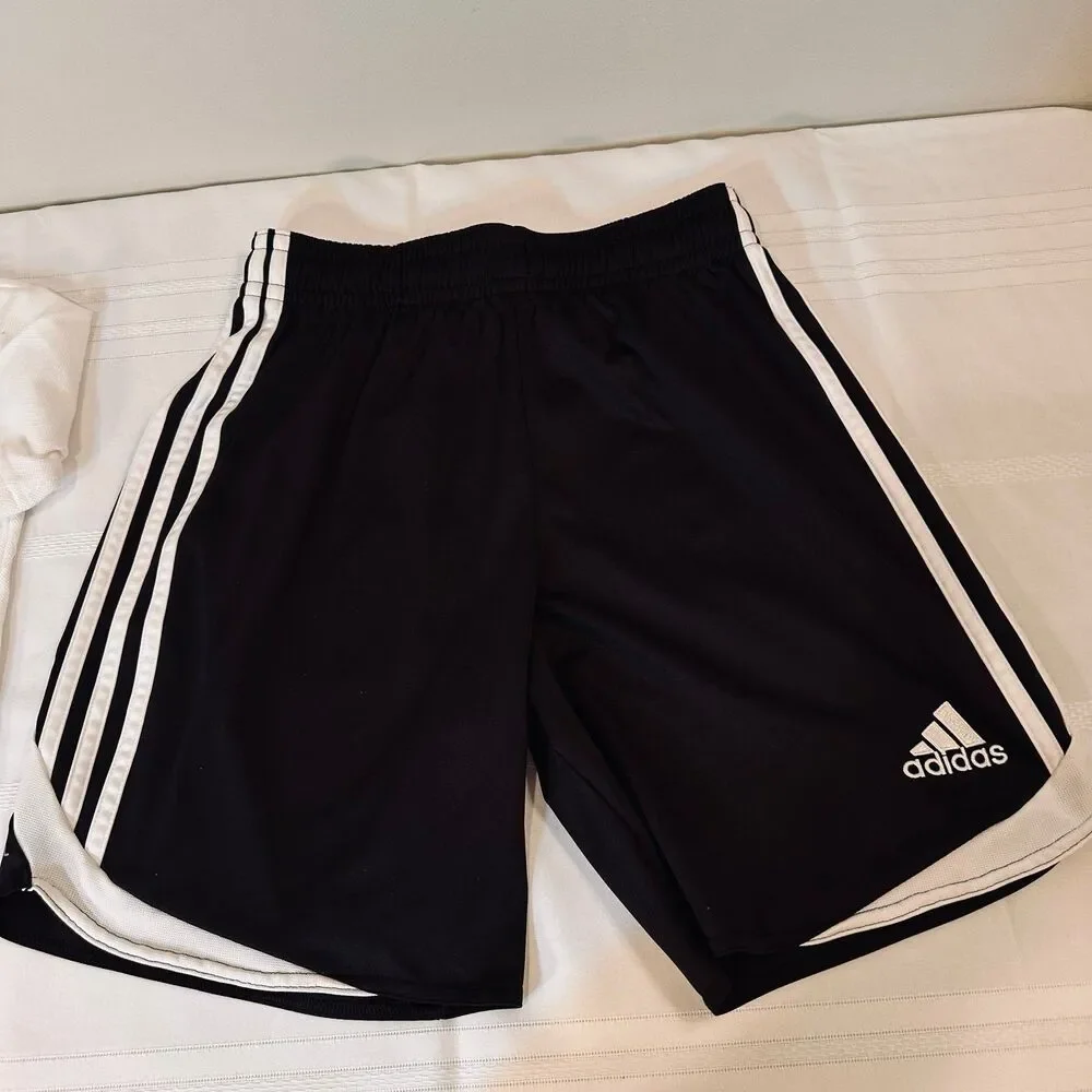 Adidas Shorts And Broadcloth Polo Shirt